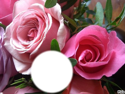 Deux Roses pour Maman Fotomontaža