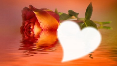 rosa naranja Fotomontáž