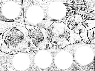 chiots Photo frame effect