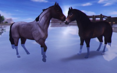 Star stable Montage photo