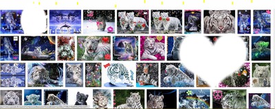 les tigre blanc Fotomontáž