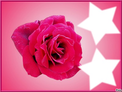 La rose aux étoile Фотомонтаж