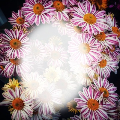 flower frame Фотомонтаж