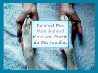 Chien famille Photo frame effect
