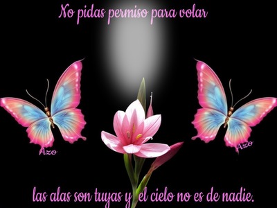 Nouveaux montages photo [p. 24/60] - Pixiz