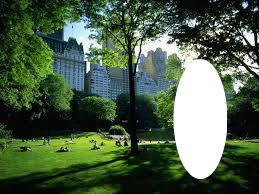 New York Park Fotomontaż