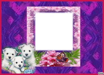3 chiens Photo frame effect