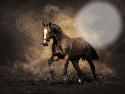 Horse Fotomontaż