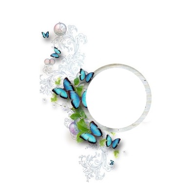 marco circular y mariposas azules. Fotomontáž