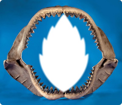 machoire de requin Φωτομοντάζ
