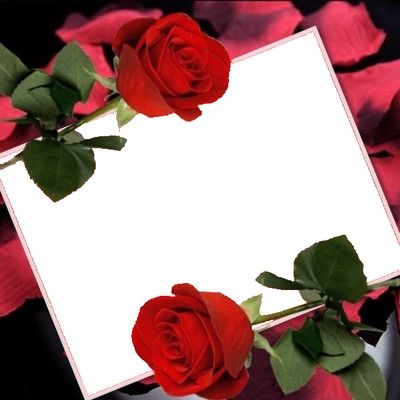 marco y rosas rojas. Fotomontaggio