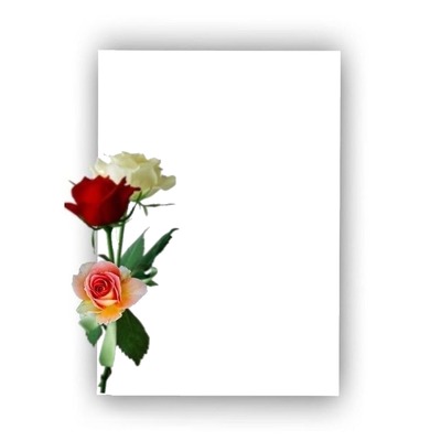 ramo de rosas. Photomontage