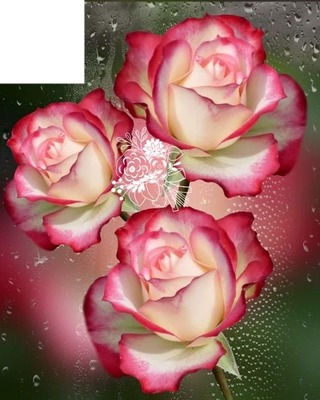 Roses Fotomontažas