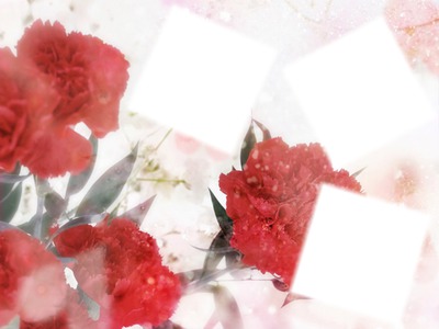 Flowers/* Fotomontage