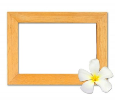 Fragi Pani Flower Frame Photo frame effect