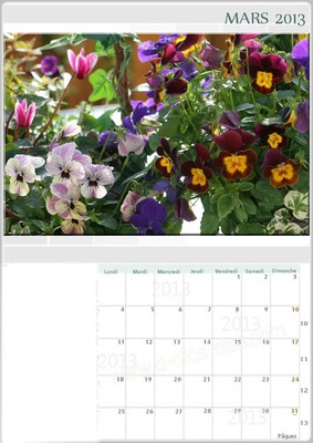 Calendrier mensuel 2013* Fotomontagem