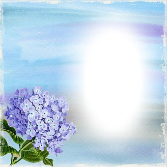 hortencia blue Φωτομοντάζ