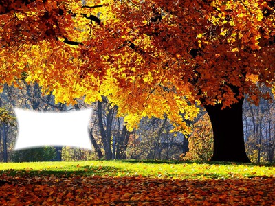 paysage d'automne Fotomontažas
