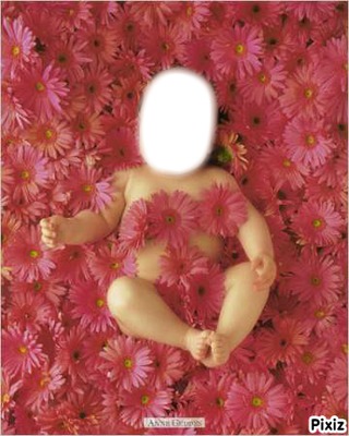 bébé rose Photomontage