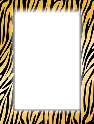 zebra frame