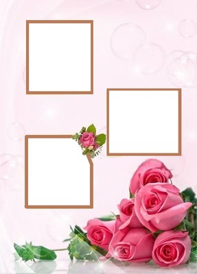 marco y rosas fucsia, 3 fotos. Fotomontažas