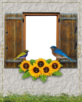 ventana, aves y girasoles. Fotoğraf editörü