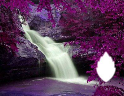 violet Montaje fotografico