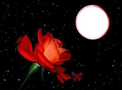 rose +lune Fotomontasje