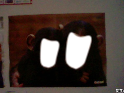 singe (chimpanzé) Fotomontaggio
