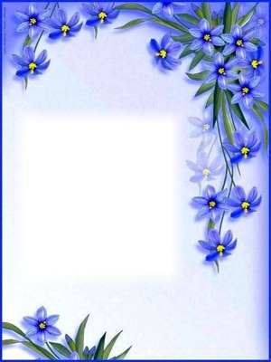 Cadre-fleurs bleues