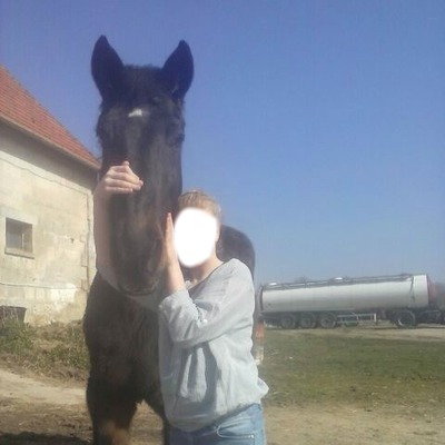 mon cheval et moi フォトモンタージュ