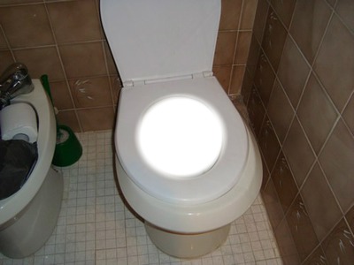 toilette フォトモンタージュ