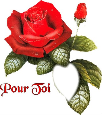 rose pour toi Fotomontāža