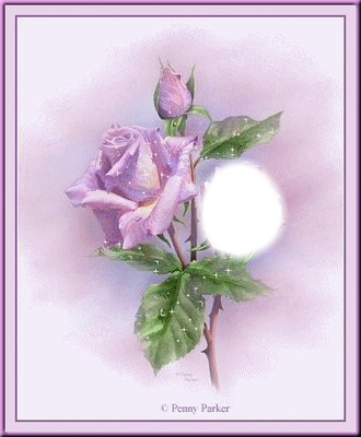 rose mauve Photomontage