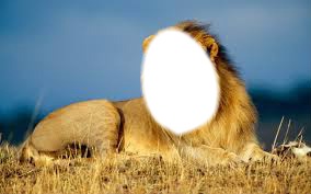 tete de lion Photo frame effect