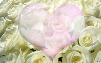 Rosa e coração.. Montage photo