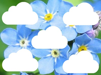 flores y nubes Montaje fotografico