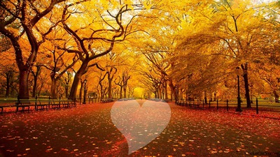 paisaje otoño Фотомонтажа