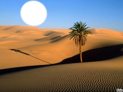 desert Fotomontaža