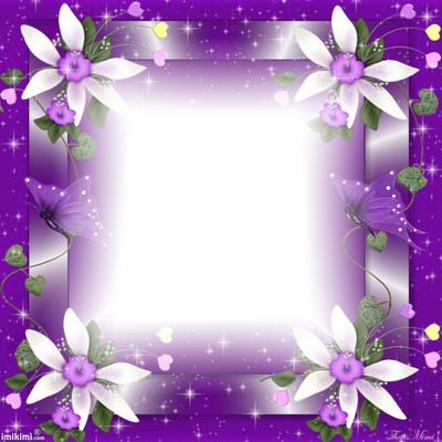 "Cadre violet " Fotomontáž