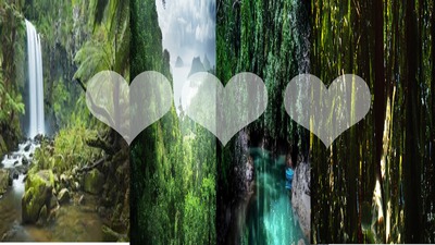 Heart of nature Photo frame effect