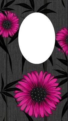 pink daisys Photo frame effect