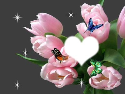 bouquet de tulipes & papillons Valokuvamontaasi