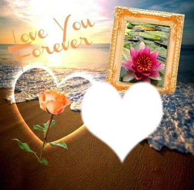Love you Forever Montage photo