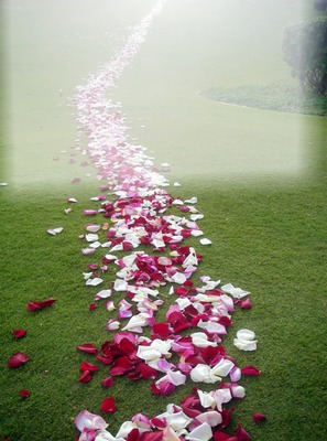 caminho das rosas Fotomontage