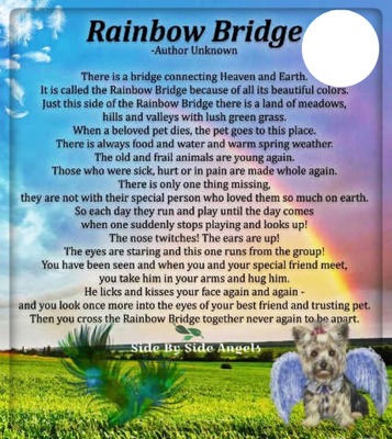 rainbow bridge Fotomontāža