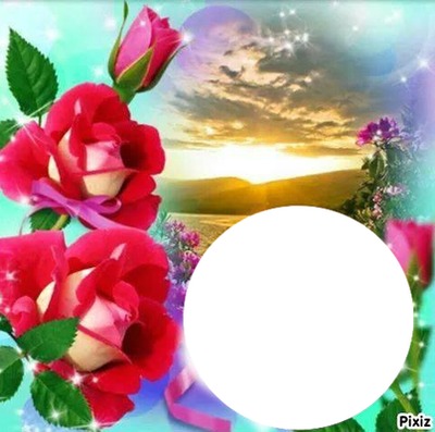 cadre roses Montage photo