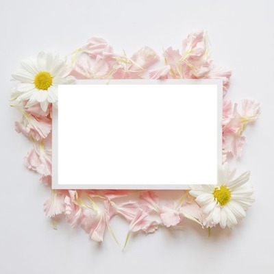 marco con flores en sus esquinas, sobre pétalos rosados, una foto.