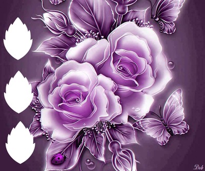 rosa com borboleta Fotomontage