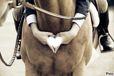 cheval coeur Фотомонтажа